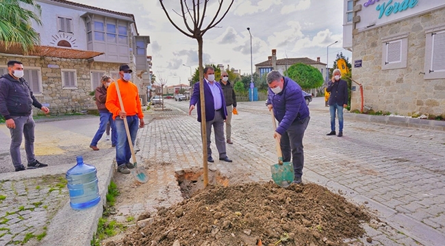 Oran: Sevdamız daha yeşil Çeşme
