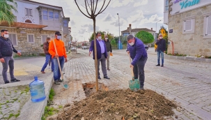 Oran: Sevdamız daha yeşil Çeşme