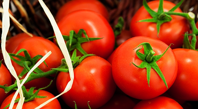 Rusya&#039;ya Türk domates ihracatında kota 50 bin ton arttırıldı