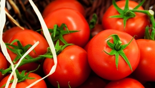 Rusya'ya Türk domates ihracatında kota 50 bin ton arttırıldı