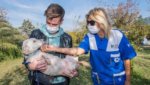 Yeni ailelerine kavuştular