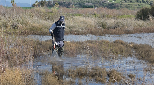 Aliağa’da Sivrisinek Mücadelesi Başladı