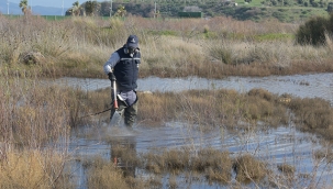 Aliağa’da Sivrisinek Mücadelesi Başladı