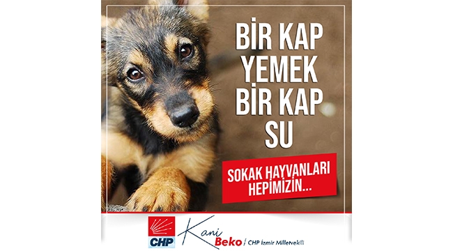 Beko: Hayvan hakları için çıksın artık bu yasa!