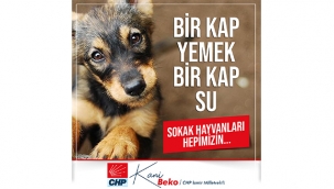 Beko: Hayvan hakları için çıksın artık bu yasa!