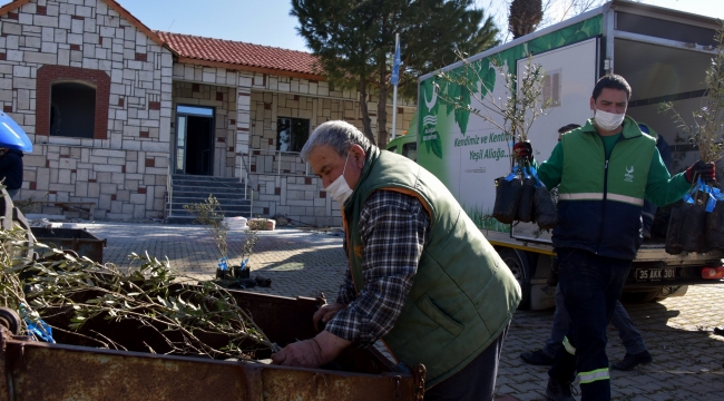 Aliağa Belediyesi’nden 684 Üreticiye 17 Bin 100 Zeytin Fidanı