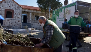 Aliağa Belediyesi’nden 684 Üreticiye 17 Bin 100 Zeytin Fidanı