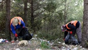 Aliağa Belediyesi’nden Orman Temizliği
