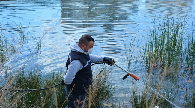 Aliağa Belediyesi Sivrisinek ile Mücadelesini Sürdürüyor