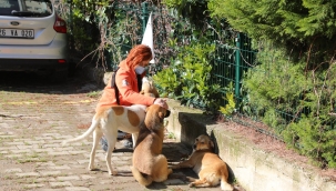 Bayraklı'da hayvanseverlerden örnek dayanışma