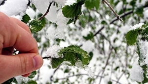 İzmir'de zirai don uyarısı