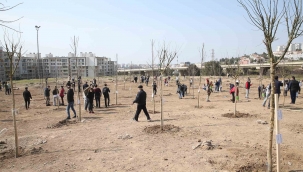 Karşıyaka’da fidanlar toprakla buluştu