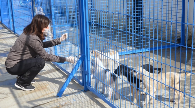 Kuşadası belediyesi teri’ye yeniden hayat verdi