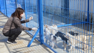 Kuşadası belediyesi teri’ye yeniden hayat verdi