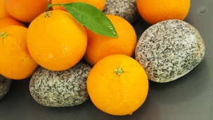 Yaş meyve sebze ve mamullerinde 2021 yılı ihracat hedefi 1 milyar 200 milyon dolar