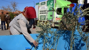 Zeytin Fidanları Üreticiyle Buluştu