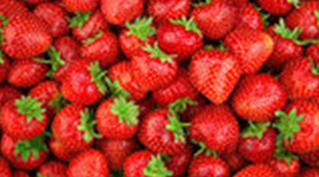 2021’in ilk çeyreğinde çilek ihracatında yüzde 333’lük rekor artış