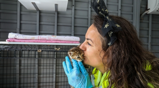 Buca Belediyesi kedileri yuvasız bırakmadı