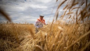 Büyükşehir tarım desteğinde sınır tanımadı