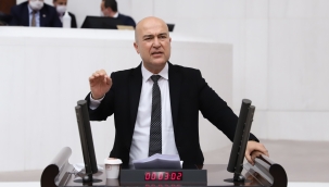 CHP’li Bakan Hayvan Hakları Yasası’nı hatırlattı