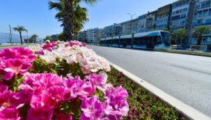 İzmir çiçek açtı