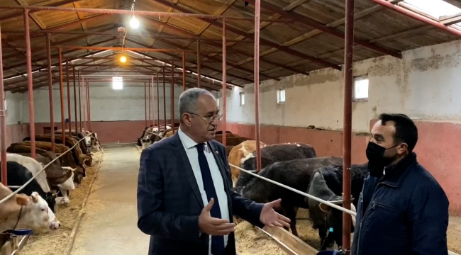 Karslı yetiştiricinin yem fiyatlarına isyanı: KAZANAMIYORUZ!