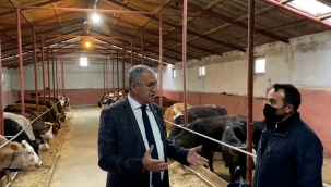 Karslı yetiştiricinin yem fiyatlarına isyanı: KAZANAMIYORUZ!