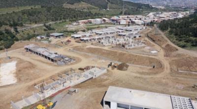 Sokak hayvanlarının yeni yuvası sonbahara hazır