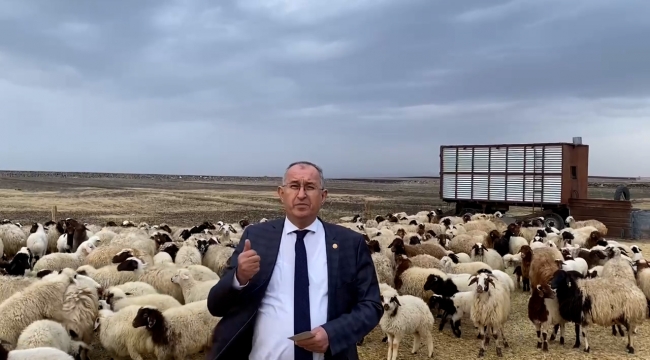 Ziraat Bankası hayvancılıkla ilgili proje başlattı Kars’ı dahil etmedi