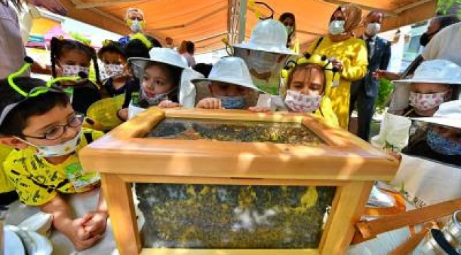 Büyükşehir, Dünya Arı Günü&#039;nde arı farkındalık etkinliği yaptı