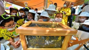 Büyükşehir, Dünya Arı Günü'nde arı farkındalık etkinliği yaptı