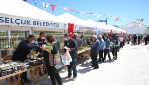 Efes selçuk’ta yeşil atıklar doğal gübreye dönüşüyor