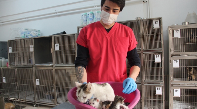 Konak’ta sevimli dostlar için yoğun mesai