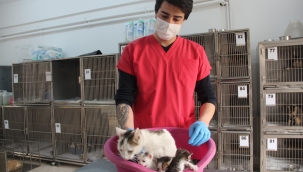 Konak’ta sevimli dostlar için yoğun mesai