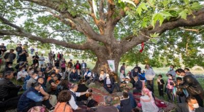 Kozak Yaylası&#039;nın meralarını üreticiye bıraksınlar