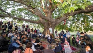 Kozak Yaylası'nın meralarını üreticiye bıraksınlar