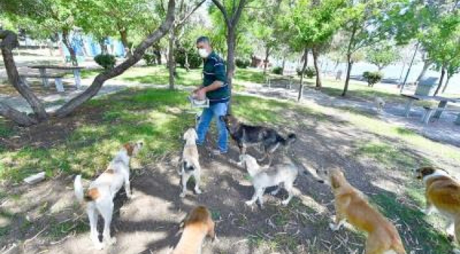 Pandemide can dostlara toplam 221 ton mama