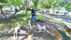 Pandemide can dostlara toplam 221 ton mama