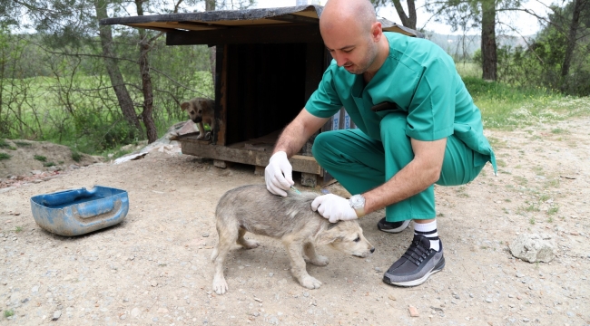 Tam Kapanmada Can Dostlar Unutulmadı