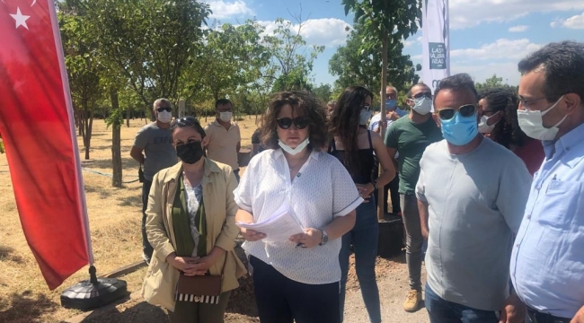 Peyzaj Mimarları İnciraltı’nı ağaçlandırdı