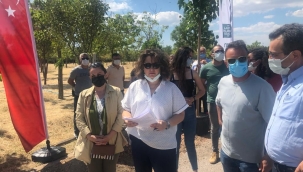 Peyzaj Mimarları İnciraltı’nı ağaçlandırdı