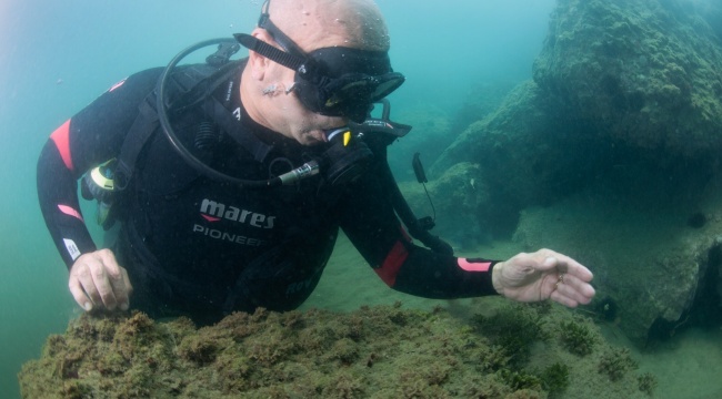Soyer, tüple daldı: “Müsilajdan eser yok, Körfez&#039;de yüzme hedefine yaklaşıyoruz”