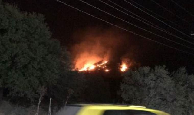 Bodrum'da orman yangını