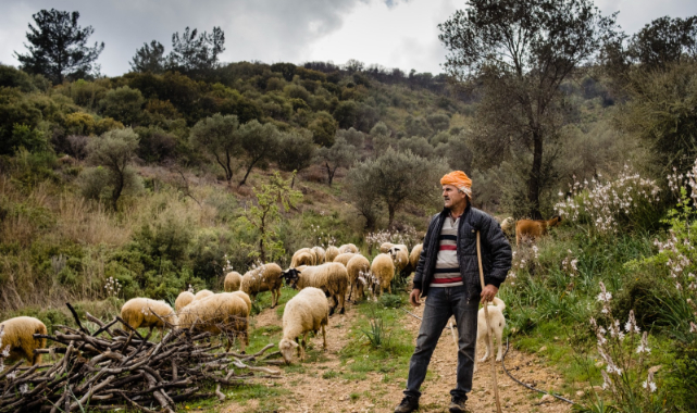 Büyükşehir yangına dirençli yeşil örtü için “orman seferberliği” başlatıyor