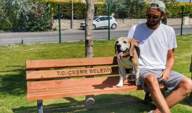 Çeşme’de köpeklere özel ‘Pati Park’