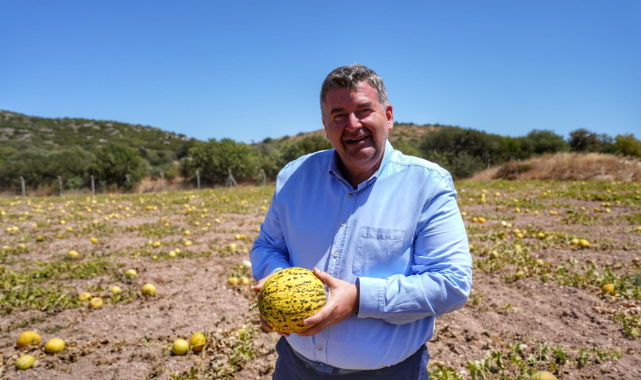 Çeşme kavunu yeniden sahnede!