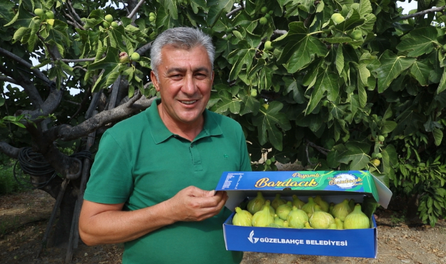 Güzelbahçe Payamlı Bardacık Festivali başlıyor