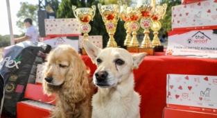 Buca Can Dostlarımızın Yanında