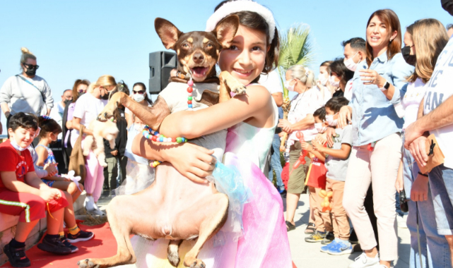 &quot;Can Dostlarımıza Sahip çıkalım&quot;