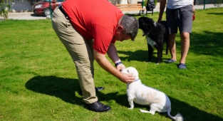 Çeşme'ye 5 'Pati Park' Müjdesi